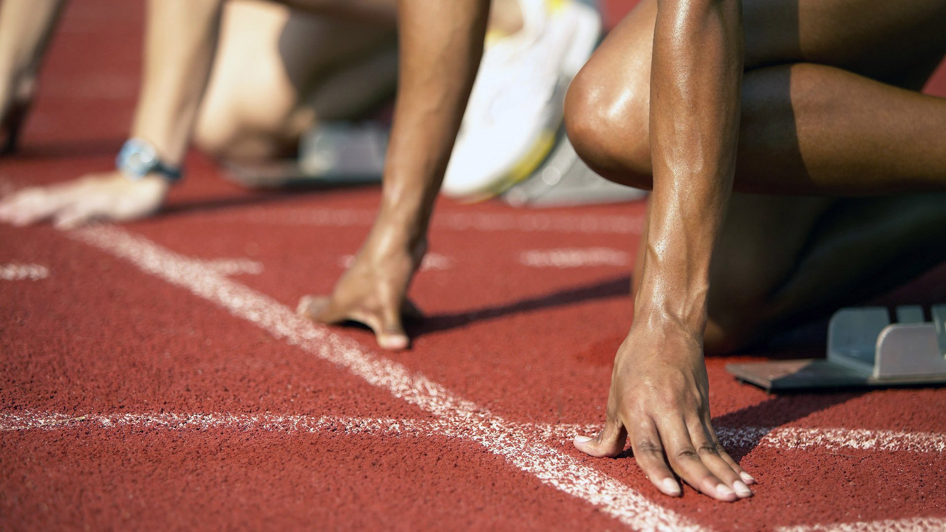 俱乐部在球队管理上引入体育总监制度,体育俱乐部管理的主要内容包括哪些方面